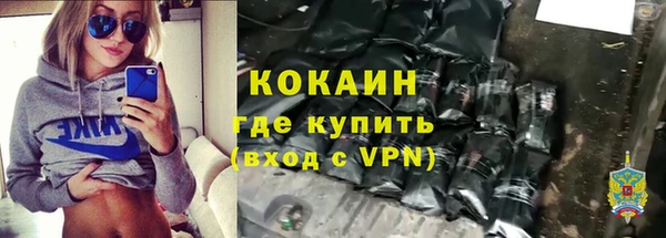 прущие грибы Беломорск