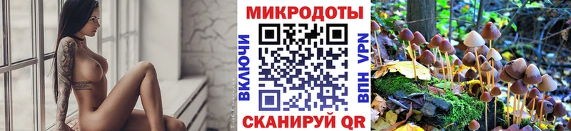 Псилоцибиновые грибы ЛСД купить наркотик гидра сайт Кувшиново